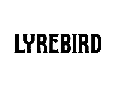 Lyrebird Wordmark Concept branding illustration lettering logo type typography wordmark