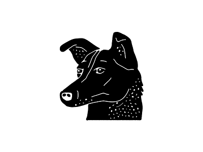 Laika the Dog dog drawing illustration line art space dog texture