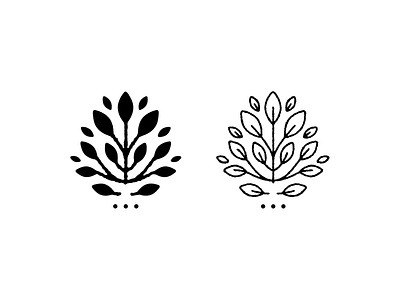 Floral Line Drawing Designs Themes Templates And Downloadable Graphic Elements On Dribbble