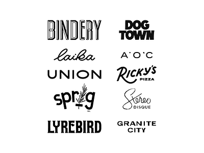 Wordmark Design branding design illustration lettering logo logo design type typography wordmark