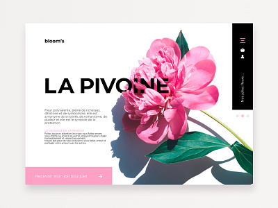 Bloom's ○ webdesign branding design illustration skech typography ui ux web webdesign website