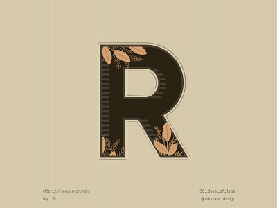 Day 18 / Letter R 36dayoftype 36days 36daysoftype 36in36 alphabet design graphicdesign illustration letterdesign logo orange spring ui