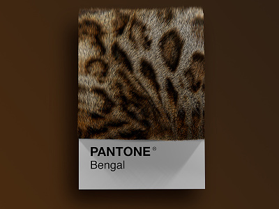 Cat Breeds as Pantone - Bengal