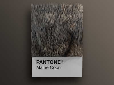 Cat As Breeds as Pantone - Maine Coon