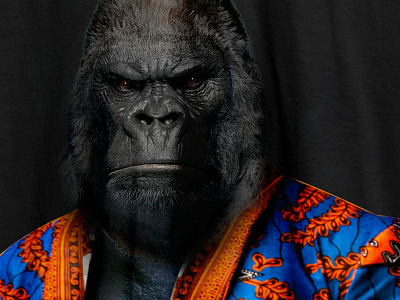 Gorilla Ankara gorilla photo manipulation