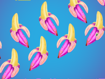 Prizmou's album cover album cover banana colorful fruits illustration