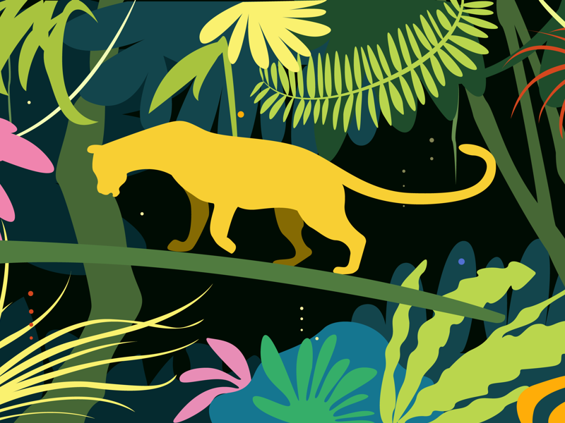 Rainforest by ZUO for BUG on Dribbble