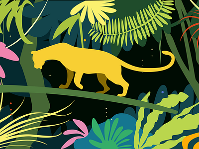 Rainforest art ikon illustration insect inset leopard light plants