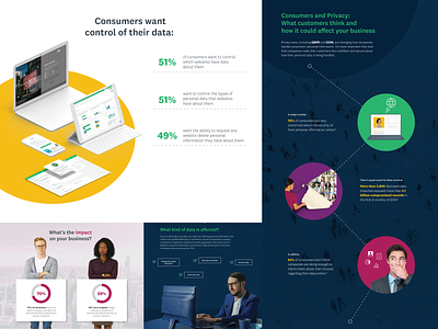 Consumers and Privacy infographic consumer infographic privacy visual design