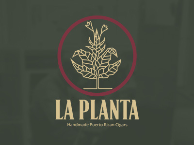 La Planta art branding brandings design flat illustration illustrator logo minimal vector