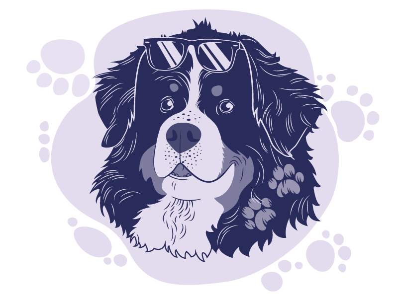 Bernese vector illustration doglove dogillustration studiowformie bernesemountaindog