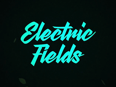 Electric Fields Festival Animated Logo animation electric electric fields festival electricity event festival lights logo logo animation motion graphics neon turquoise
