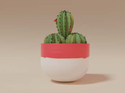 Cactus 3d artist 3dmodeling cactus colorful vase