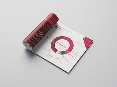 Investors Report annual report design graphic design infographic print print design report