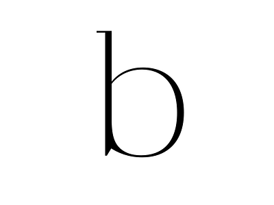 b lettering type type design typography