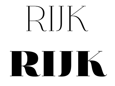 Rijk lettering type type design typography