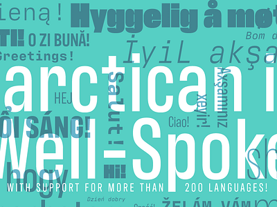 MOAR LANGUAGES! font letting type type design typeface typography