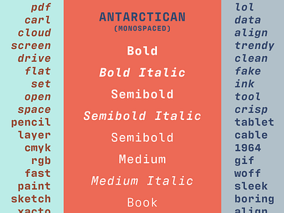 Antarctican Mono font letting type type design typeface typography
