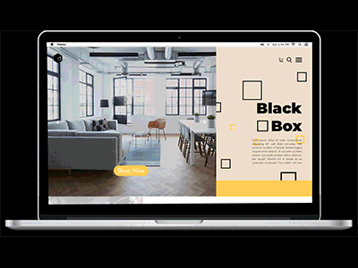 Black Box Website design furniture web