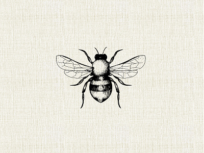 Bee Illustration bee engraved honeybee icon illustration illustrator old pen texture vintage