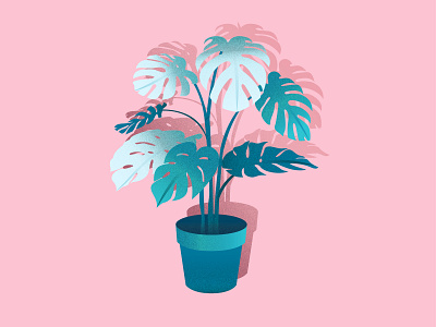 Plant Illustration blue color grain illustration leaves pastel pink plant poster potted plant texture