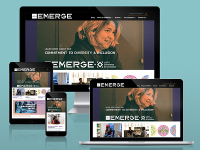 AIGA EMERGE Website art direction design nonprofit ui ux design web design web development