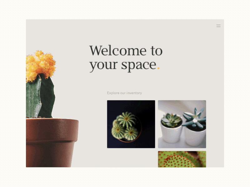 Splash Page - Cactus cactus classic desert minimal modern splash web website