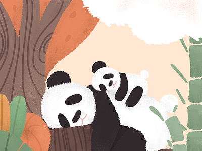 Panda illustration