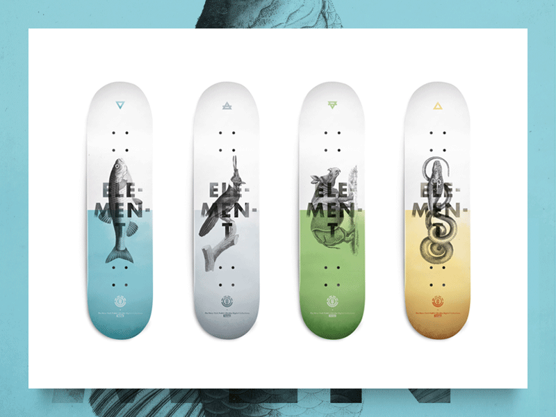 Fictive Board Serie Design element graphic design skateboarding