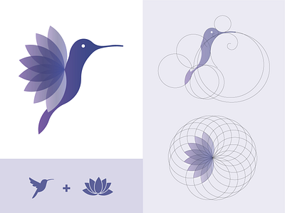 Hummingbird Spirit coaching design digital drawing hummingbird logo lotus lotus flower vector