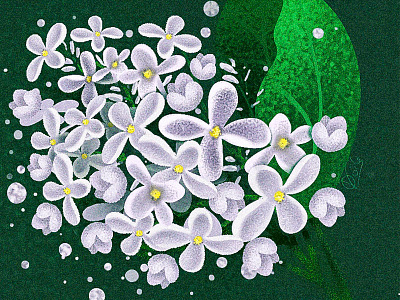 Lilac branch 2d art print botanical branch digital dots flat flowers foliage graphic design green greeting card illustration lilac logo nature plants procreate sketch vector