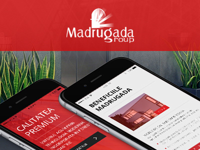 Madrugada Group - Web Design