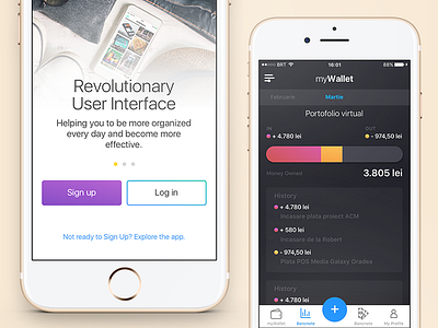 Money & Time Organizer iOS App
