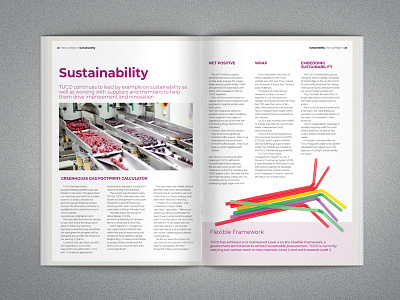 Annual Report Design annual report corporate branding design document design