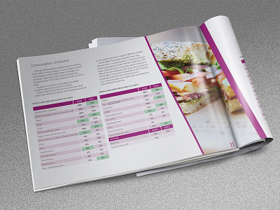Brochure Design branding brochure corporate design report design
