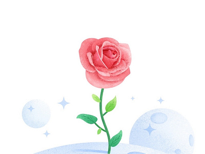 Le Petit Prince flower illustration illustrator rose