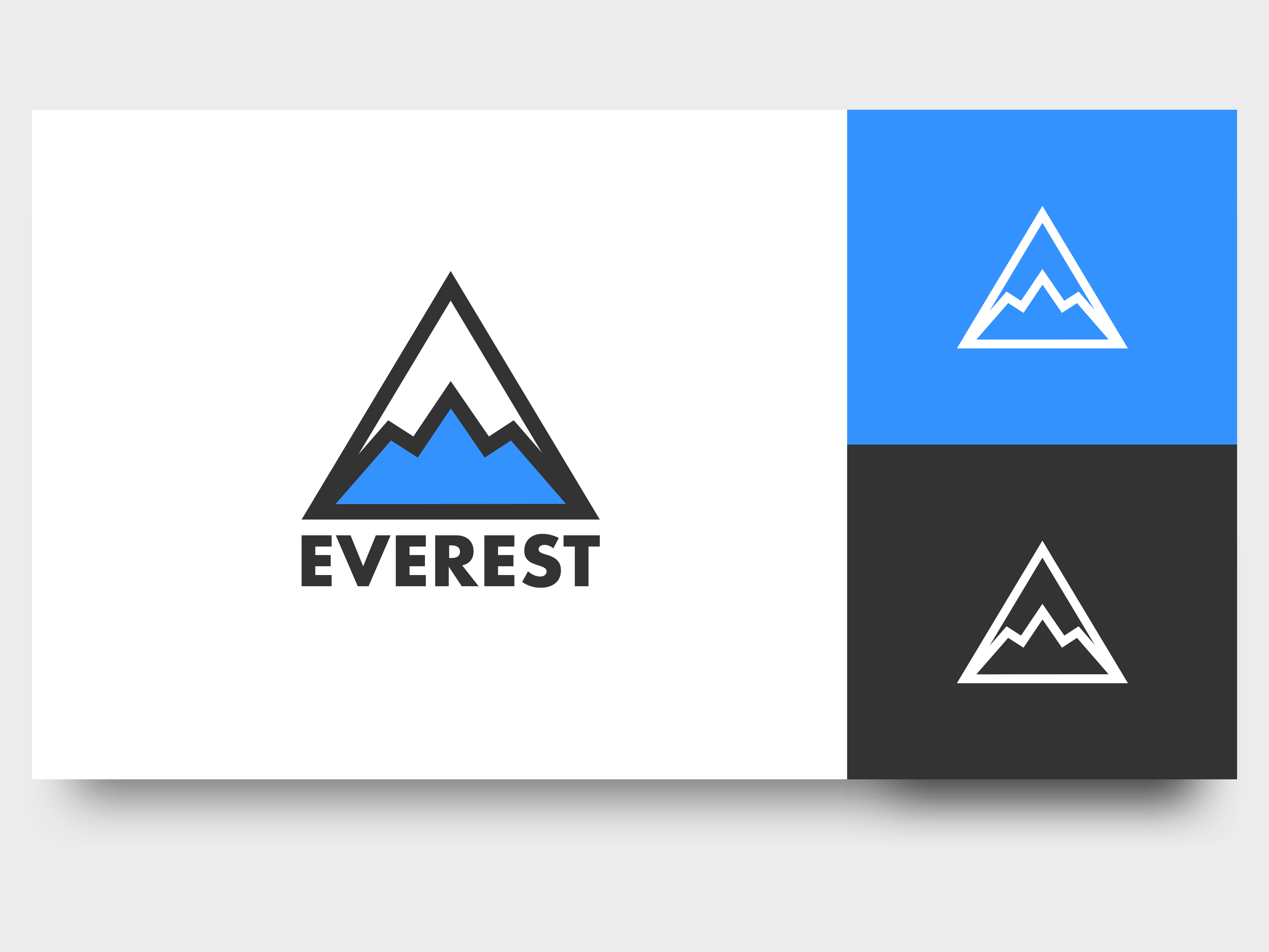 Mountain Logo design. Everest logo. Mountain poster - Stock Image -  Everypixel