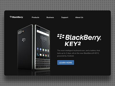 Blackberry Website Concept