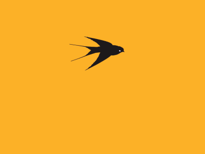 Swallow 2d after animation bird colours effects swallow