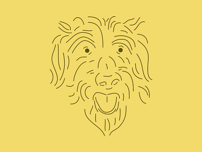 What is this? dribbble lines picture