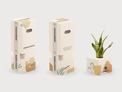Conservatorie Packaging Boxes abstract big brand branding branding concept color concept cream development ecommerce identity illustration logo packaging pattern plants studio team vector vintage
