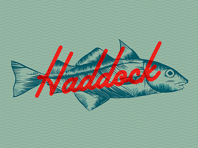 Haddock Illustration Concept cafe concept etching fish funky haddock illustration lettering menu restaurant retro vintage