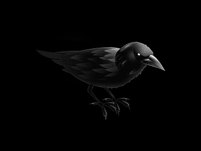 Crow crow icon illustration noir