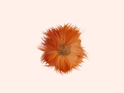 Chewbacca’s flower