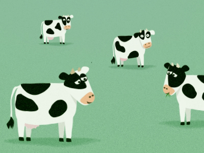 Cow contemplation agrofabrice animation cow flatdesign motiondesign