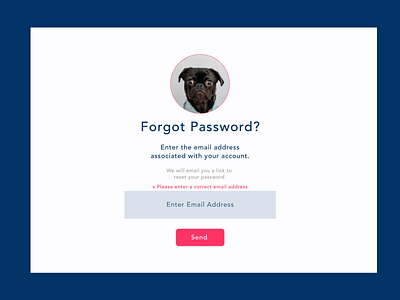 Forgot Password Page adobe xd animal gestures creative design design forget password screen illustration minimalistic pictures typogaphy ui ux