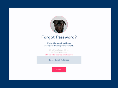 Forgot Password Page