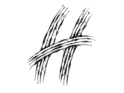 36daysoftype "H" 36daysoftype design digital handlettering handmadefont illustration logo procreate type
