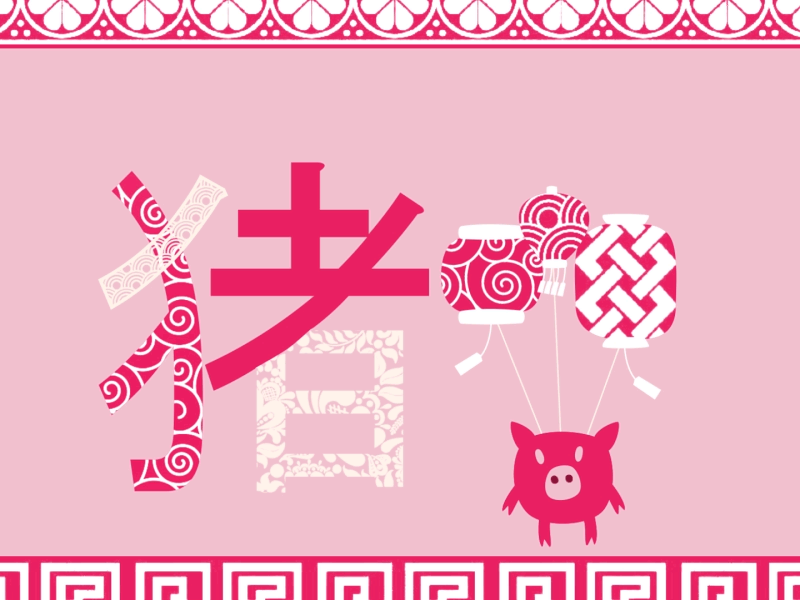 Year of the Pig after effect animaiton charachter character animation illustration motion design pig