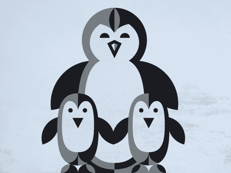 Penguin Fam animals flat illustration